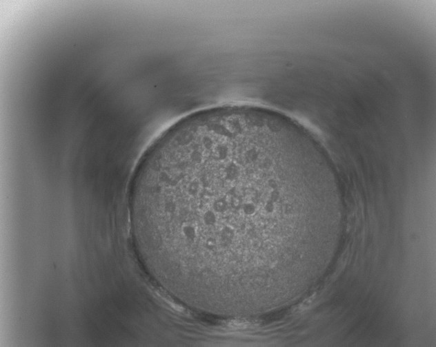 X0000067501271200604150058