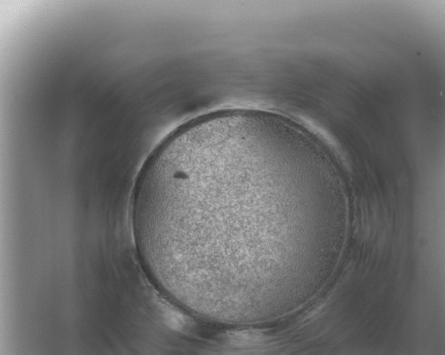 X0000067501272200604150058