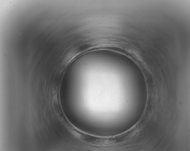 X0000067501273200604150058