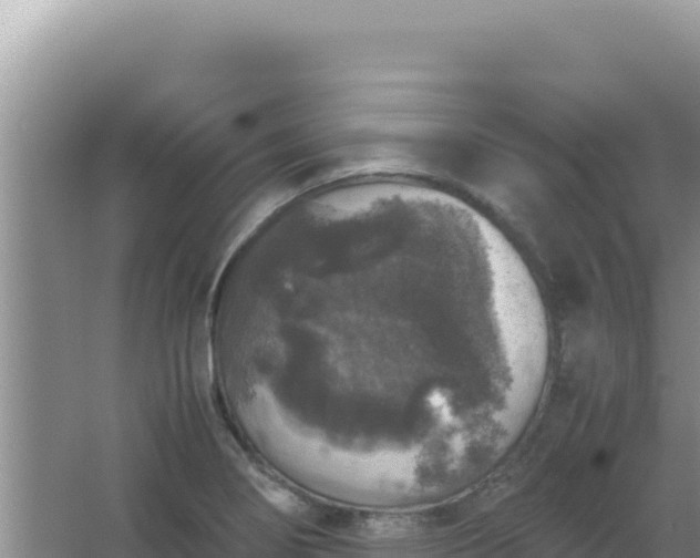 X0000067501274200604150058