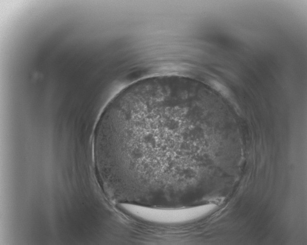 X0000067501275200604150058