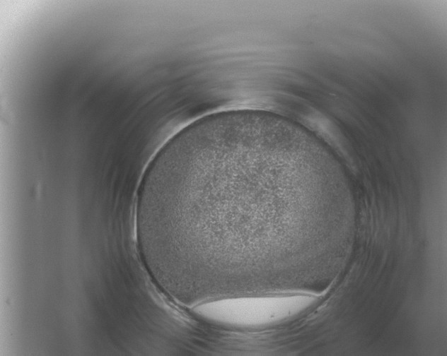 X0000067501276200604150058