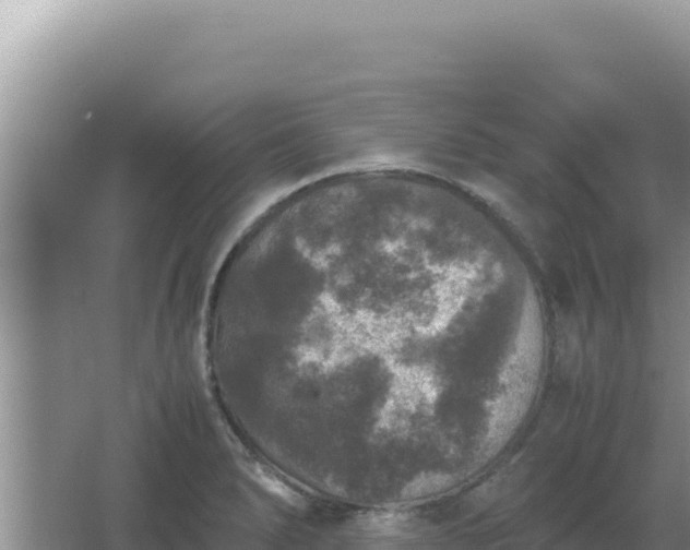 X0000067501278200604150058