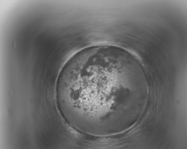 X0000067501279200604150058