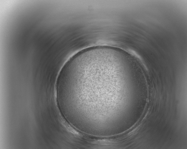 X0000067501280200604150058