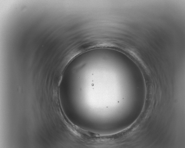 X0000067501281200604150058