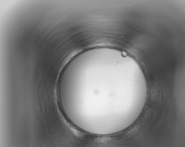 X0000067501282200604150058