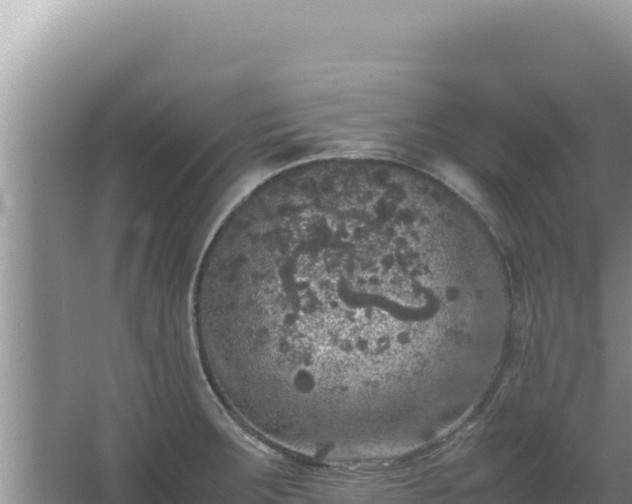 X0000067501283200604150058