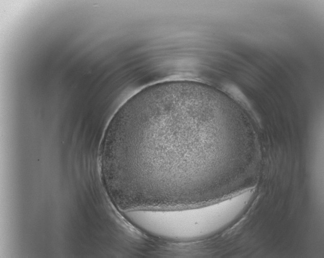 X0000067501284200604150058