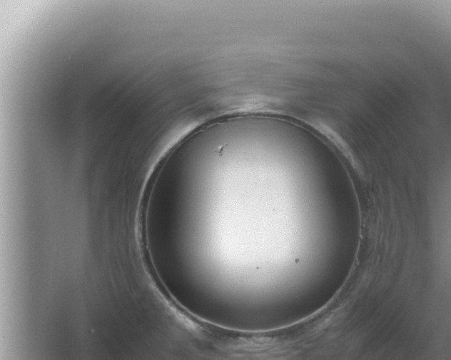 X0000067501285200604150058