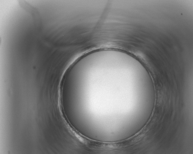 X0000067501286200604150058