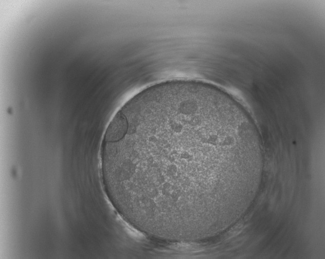 X0000067501287200604150058