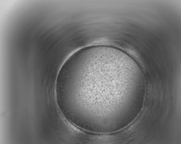 X0000067501288200604150058