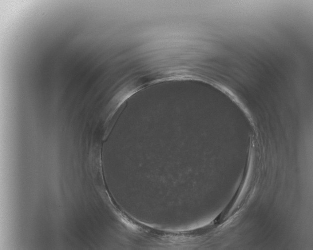 X0000067501289200604150058