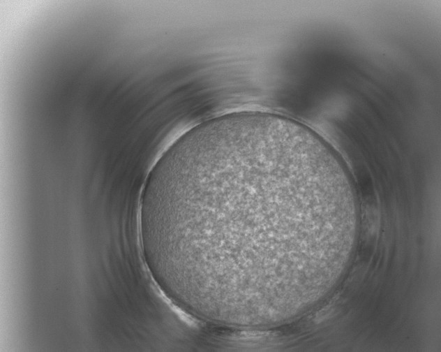 X0000067501290200604150058