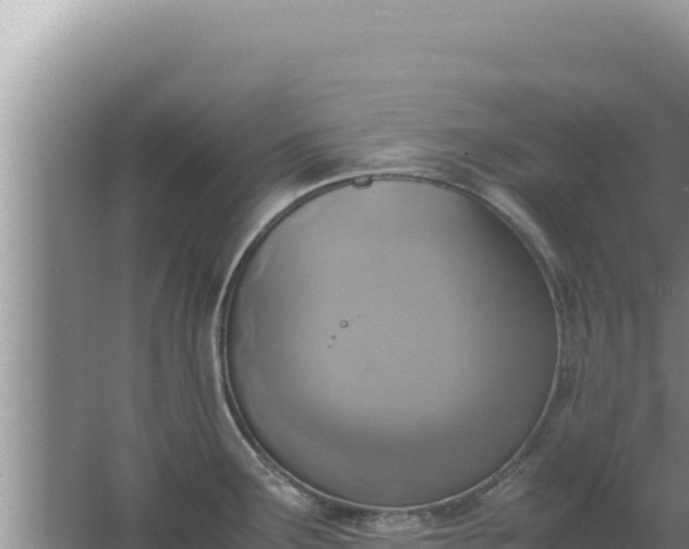 X0000067501291200604150058