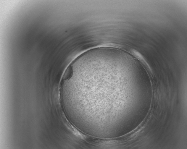 X0000067501292200604150058