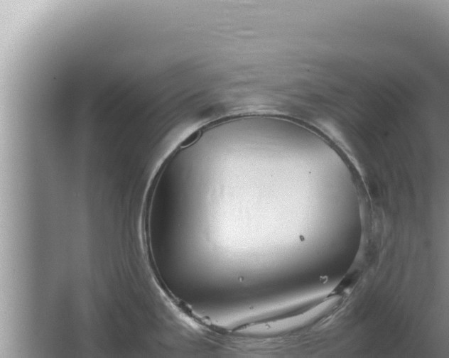 X0000067501293200604150058