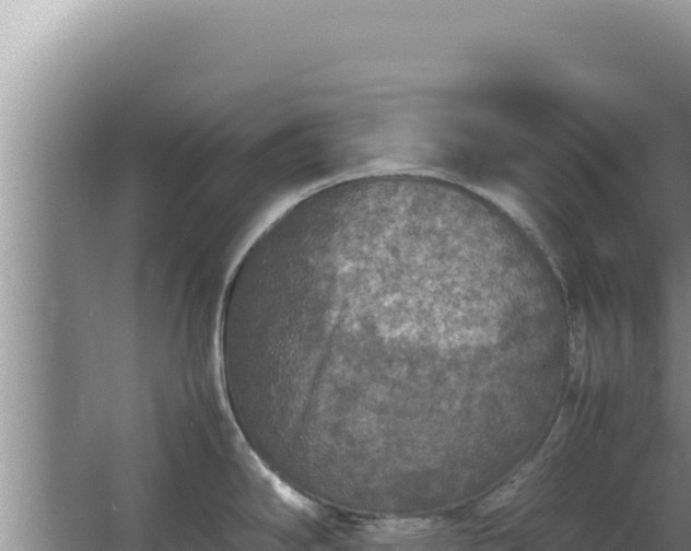 X0000067501294200604150058