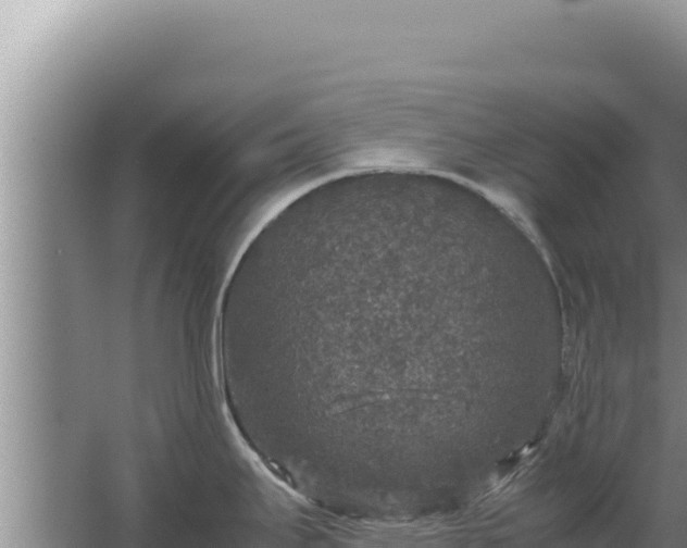 X0000067501295200604150058