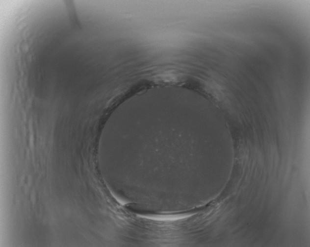 X0000067501297200604150057