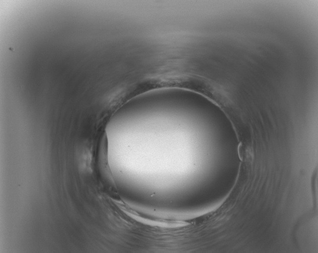 X0000067501300200604150057