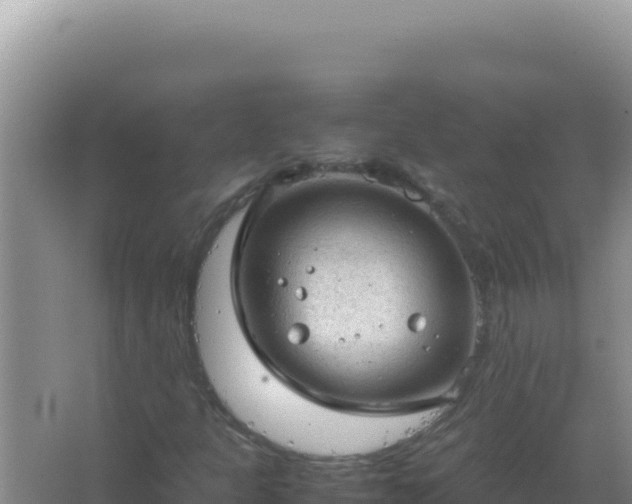 X0000067501301200604150057