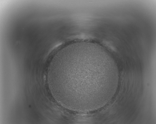 X0000067501302200604150057