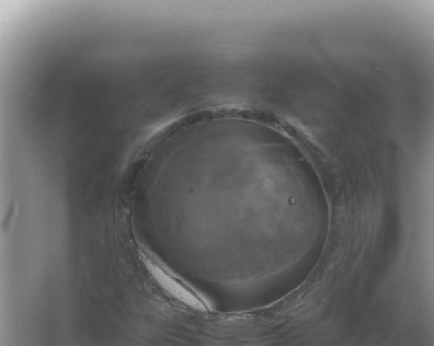 X0000067501303200604150057