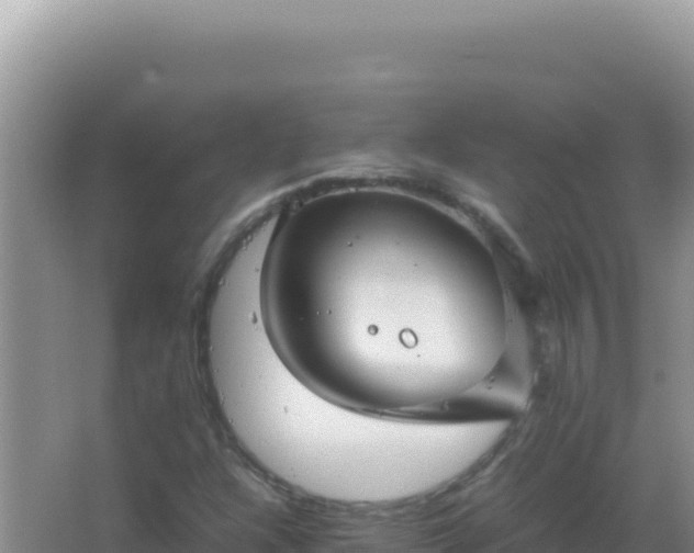 X0000067501304200604150057