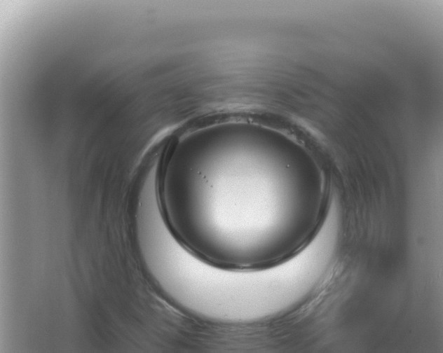 X0000067501306200604150057