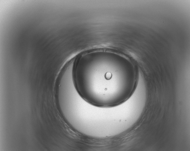 X0000067501308200604150057