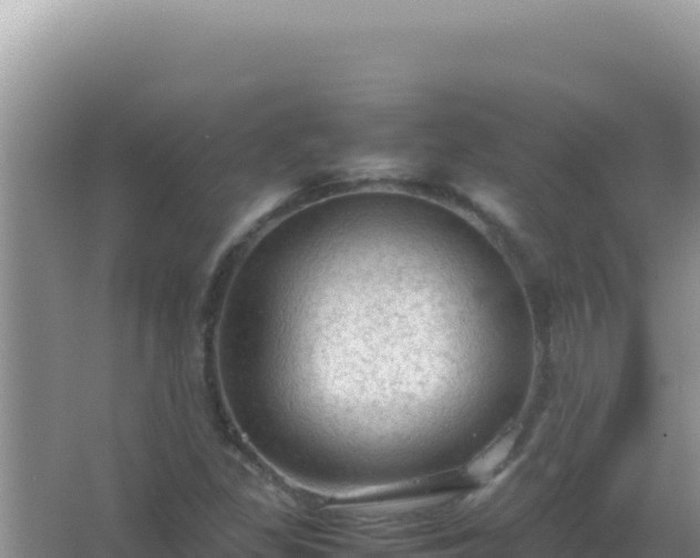 X0000067501309200604150057