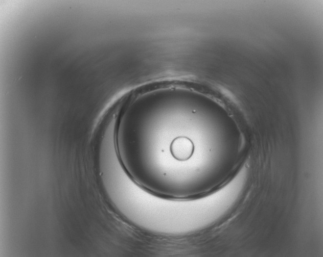 X0000067501310200604150057