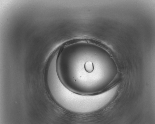 X0000067501311200604150057