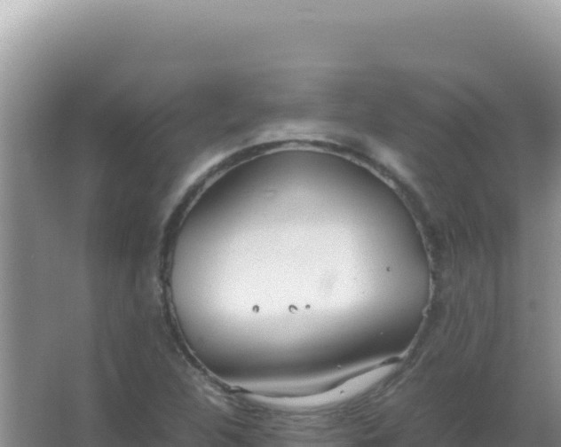 X0000067501312200604150057