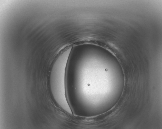 X0000067501313200604150057