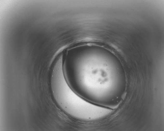 X0000067501314200604150057