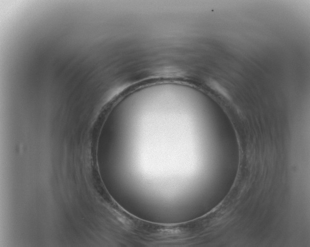 X0000067501315200604150057