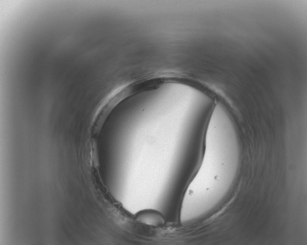 X0000067501317200604150057