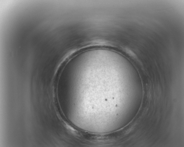 X0000067501318200604150057