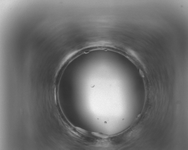 X0000067501320200604150057