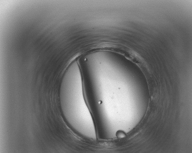 X0000067501321200604150057