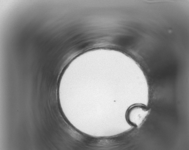 X0000067501322200604150057