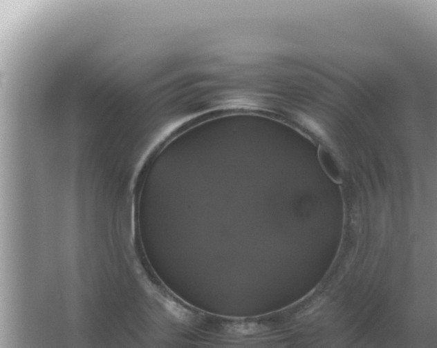 X0000067501323200604150057