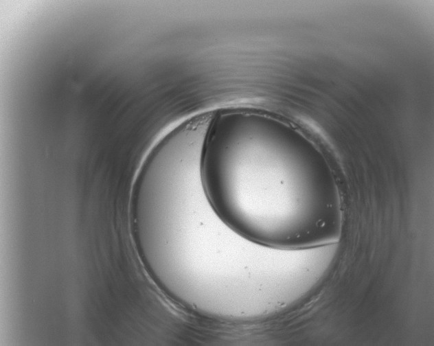 X0000067501324200604150057