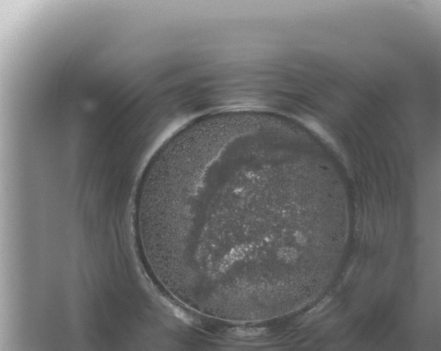 X0000067501325200604150057