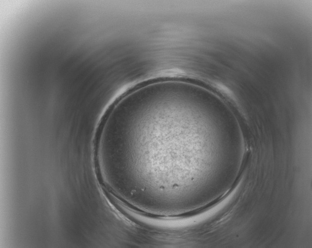 X0000067501326200604150057