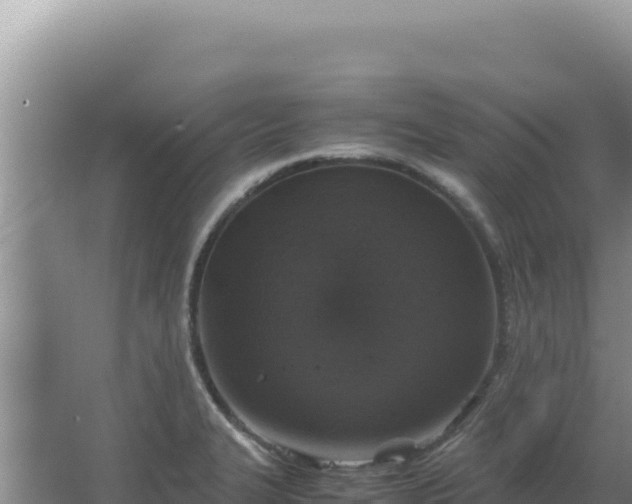 X0000067501327200604150057