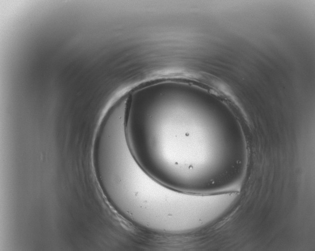 X0000067501328200604150057